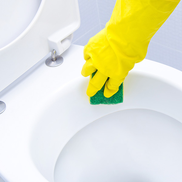 clean a toilet