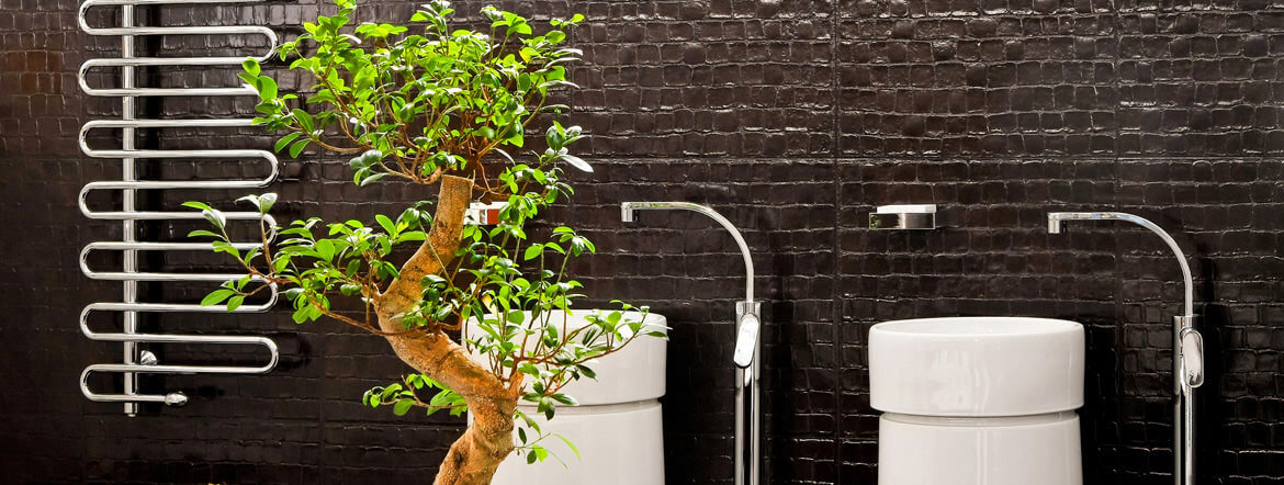 Bathroom walls