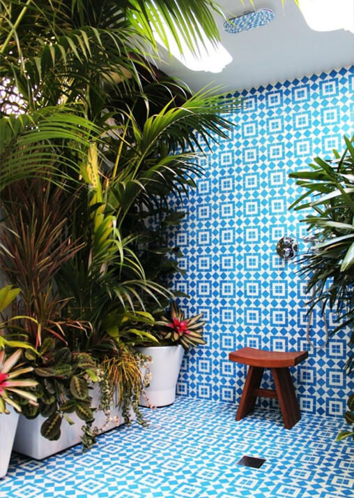 Wet Room Plants