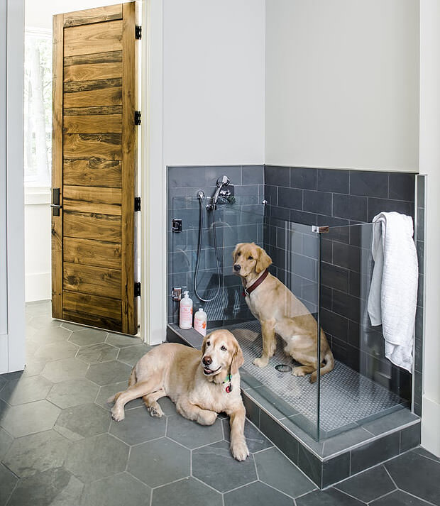 Dog's Bathroom