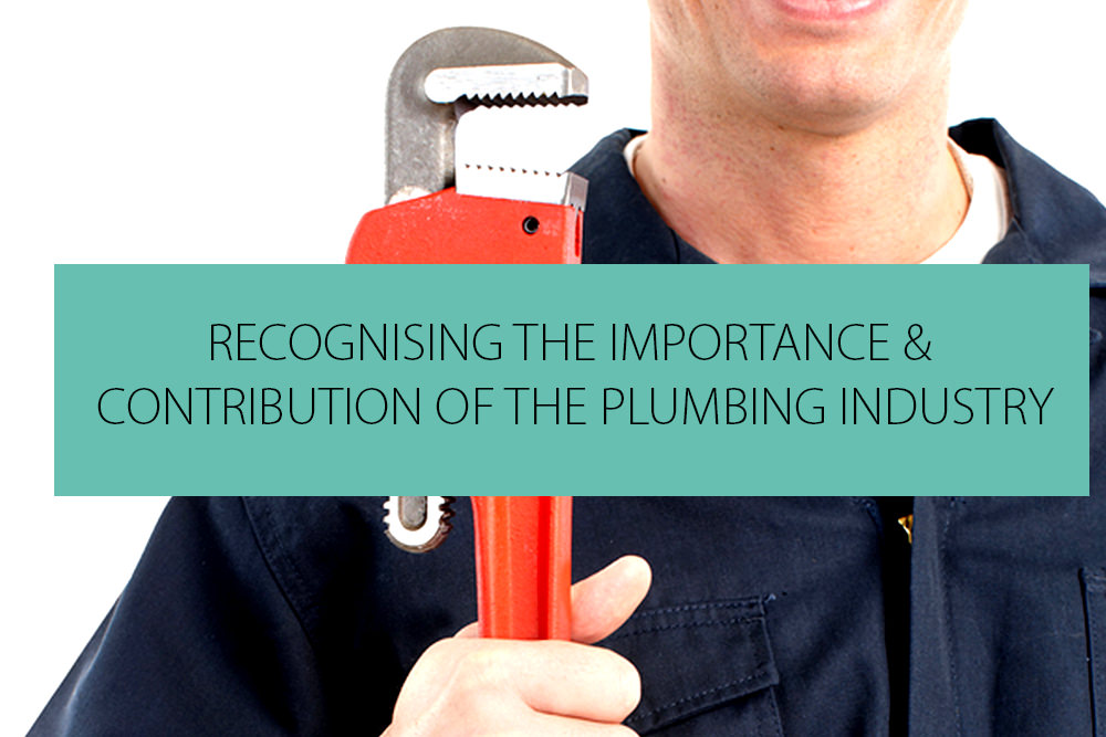 World Plumbing Day